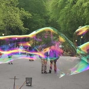 Meet your Posher, Sally